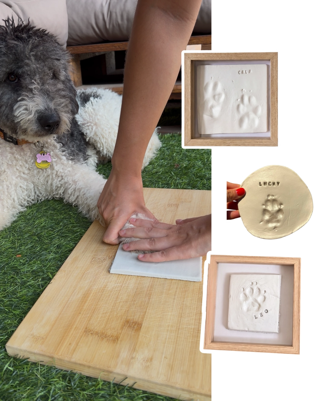 Kit Huellas para Mascotas